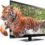 LG Infinia 55LW5600 55-Inch Cinema 3D 1080p 120 Hz LED HDTV with Smart TV (Included: Four Pairs of 3D Glasses)