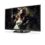 LG Electronics 60PN6500 60-Inch 1080p 600Hz Plasma HDTV (Black)