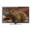 Haier LE24C2380 24-Inch 1080p 60Hz LED HDTV