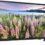 Samsung 32″ Class 1080p LED Smart HDTV with Full Web Browser